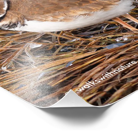 Tödliche Mudflats Fotodruck (Ecke)