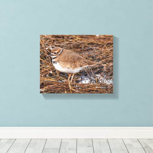 Tödliche Mudflats Leinwanddruck (Insitu (Holzboden))