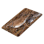 Tödliche Mudflats Magnet (Linke Seite)