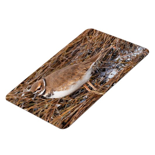 Tödliche Mudflats Magnet (Linke Seite)