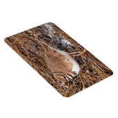 Tödliche Mudflats Magnet (Rechte Seite)