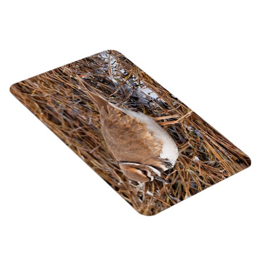 Tödliche Mudflats Magnet (Rechte Seite)