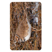 Tödliche Mudflats Magnet (Vertikal)