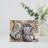Tödliche Nest mit Eiern Postkarte (Stehend Vorderseite)