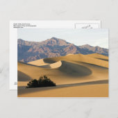 Todtal Sanddünen... Postkarte (Vorne/Hinten)