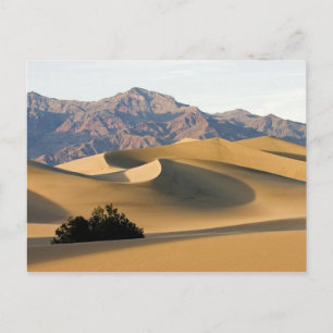 Todtal Sanddünen... Postkarte