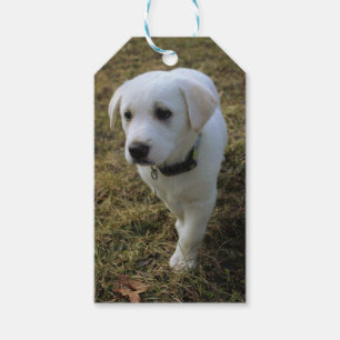 Toffee Geschenkanhänger