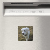 Toffee Magnet (In Situ (Geschirrspüler))