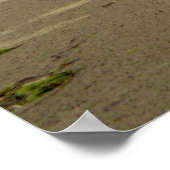 Tofino Beach Poster (Ecke)