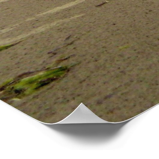 Tofino Beach Poster (Ecke)