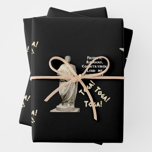 Toga! Toga! Toga! Geschenkpapier Set (Beispiel)