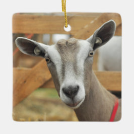Toggenburg Dairy Goat Keramikornament