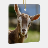 Toggenburg Dairy Goat Kid Keramikornament (Rechts)