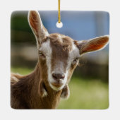 Toggenburg Dairy Goat Kid Keramikornament (Rückseite)