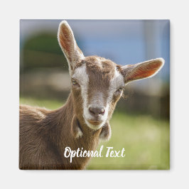 Toggenburg Dairy Goat Kid Magnet