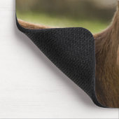 Toggenburg Dairy Goat Kid Mousepad (Ecke)