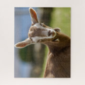 Toggenburg Dairy Goat Kid Puzzle (Vertikal)