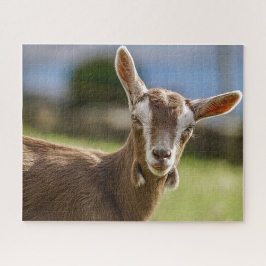 Toggenburg Dairy Goat Kid Puzzle (Horizontal)