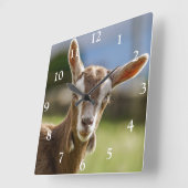 Toggenburg Dairy Goat Kid Quadratische Wanduhr (Winkel)