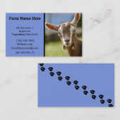 Toggenburg Dairy Goat Kid Visitenkarte (Vorne/Hinten)