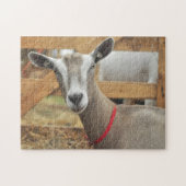 Toggenburg Dairy Goat Puzzle (Horizontal)