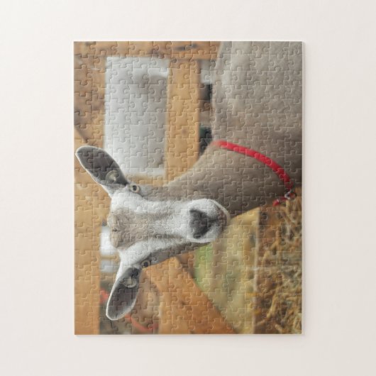 Toggenburg Dairy Goat Puzzle (Vertikal)