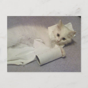 Toilettenpapier Spaß Postkarte