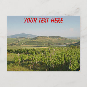 Tokaj Weinberge, Ungarn, anpassbare Postkarte