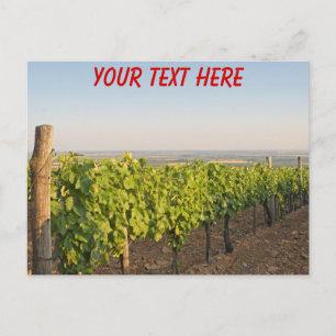 Tokaj Weinberge, Ungarn, anpassbare Postkarte