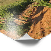 Tokaj Weinberge, Ungarn Fotodruck (Ecke)