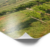 Tokaj Weinberge, Ungarn Fotodruck (Ecke)