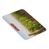 Tokaj Weinberge, Ungarn Magnet (Rechte Seite)