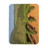 Tokaj Weinberge, Ungarn Magnet (Vertikal)