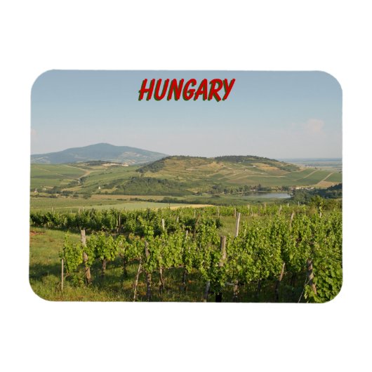 Tokaj Weinberge, Ungarn Magnet (Horizontal)
