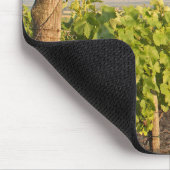 Tokaj Weinberge, Ungarn Mousepad (Ecke)