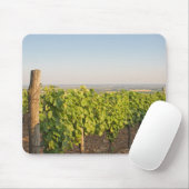 Tokaj Weinberge, Ungarn Mousepad (Mit Mouse)