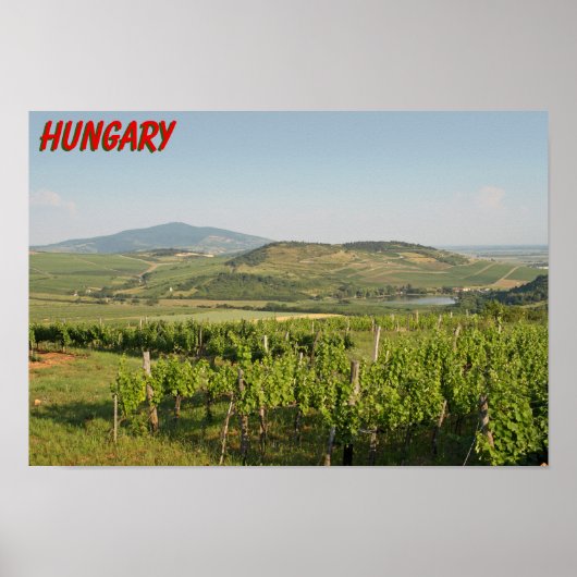 Tokaj Weinberge, Ungarn Poster (Vorne)