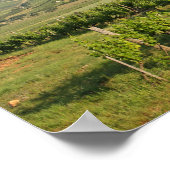 Tokaj Weinberge, Ungarn Poster (Ecke)