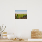 Tokaj Weinberge, Ungarn Poster (Küche)
