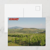 Tokaj Weinberge, Ungarn Postkarte (Vorne/Hinten)