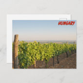 Tokaj Weinberge, Ungarn Postkarte (Vorne/Hinten)