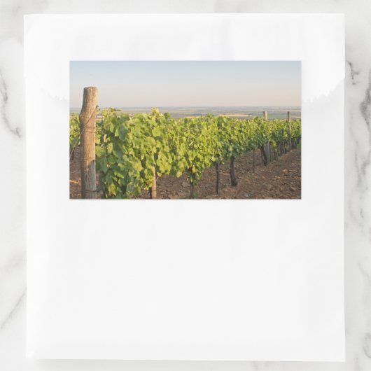 Tokaj Weinberge, Ungarn Rechteckiger Aufkleber (Tasche)