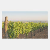 Tokaj Weinberge, Ungarn Rechteckiger Aufkleber (Vorderseite)