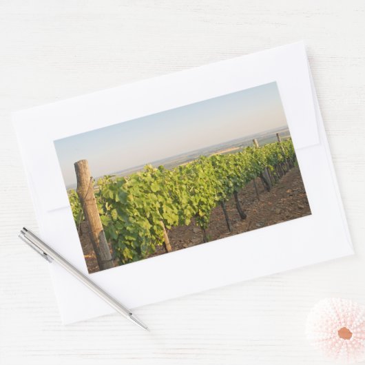 Tokaj Weinberge, Ungarn Rechteckiger Aufkleber (Umschlag)