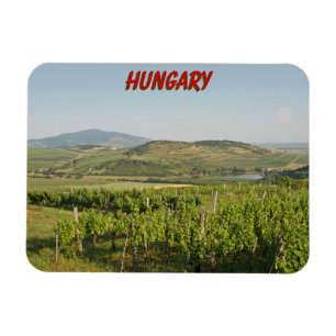Tokajer Weinberge, Ungarn Magnet