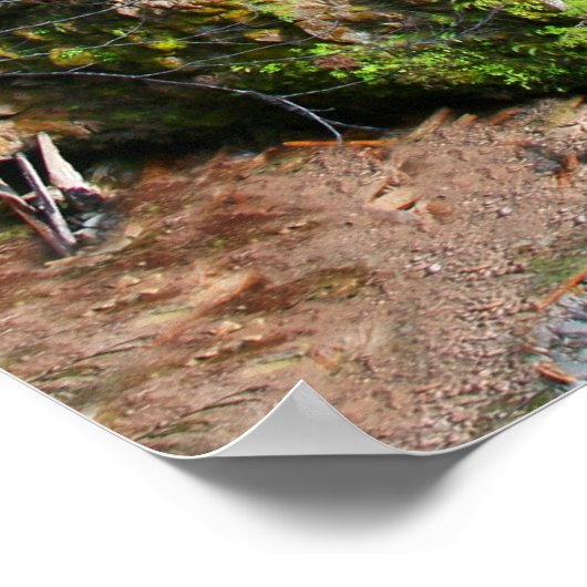 Toketee Falls Poster (Ecke)