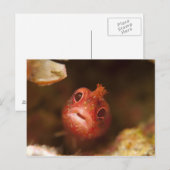 Tokio, Japan 2 Postkarte (Vorne/Hinten)