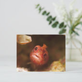 Tokio, Japan 2 Postkarte (Stehend Vorderseite)