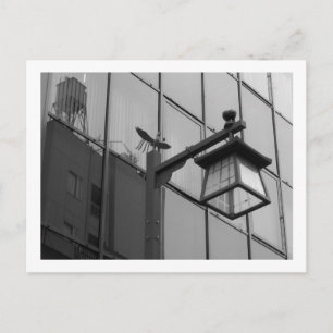 Tokioter Straßenlaternen: Asakusa Postkarte
