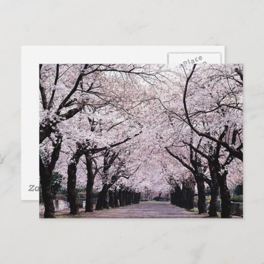 TOKYO POSTKARTE (Vorne/Hinten)